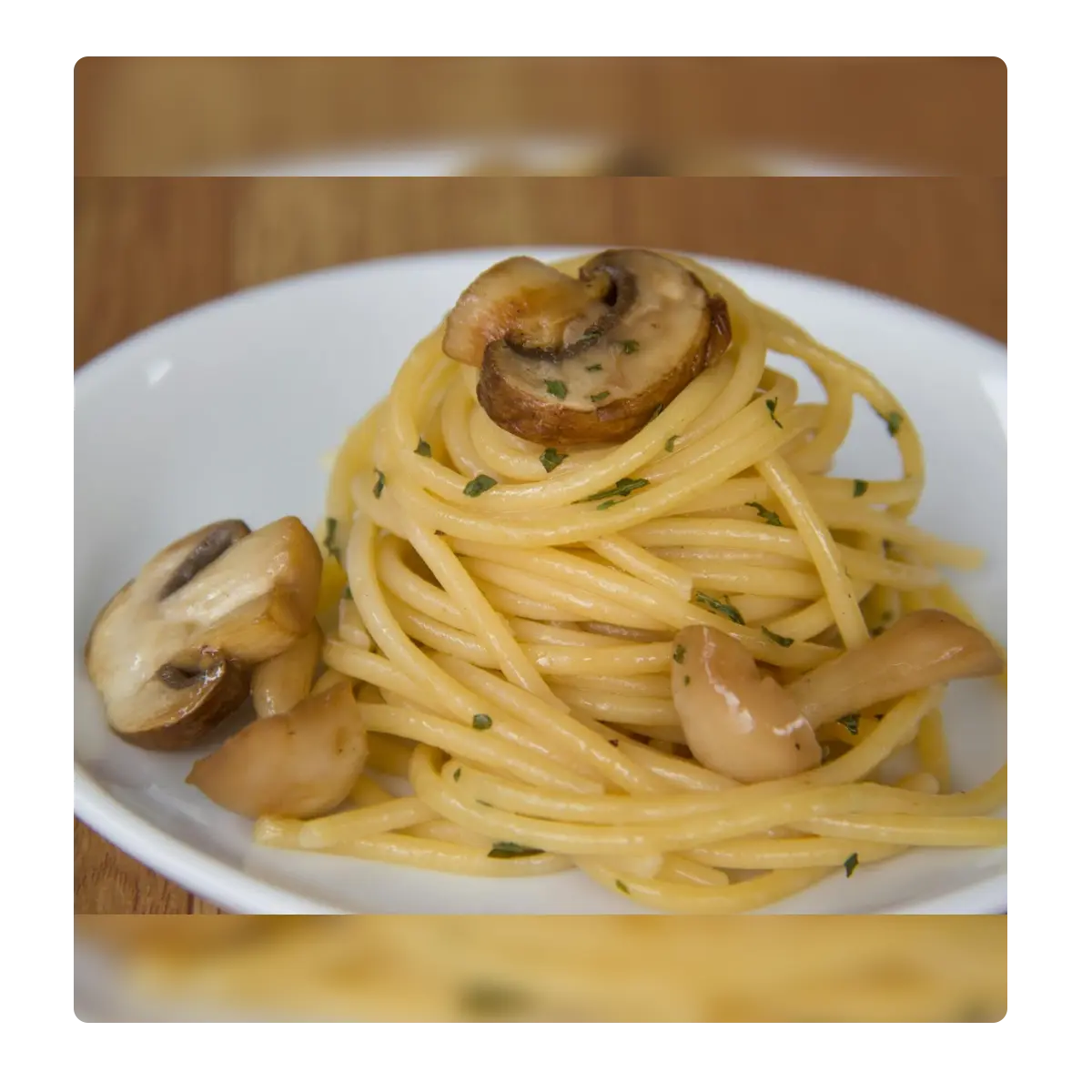 Creamy mushroom sauce Pasta