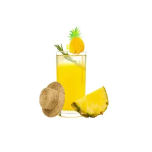 Fresh Pineapple Juice